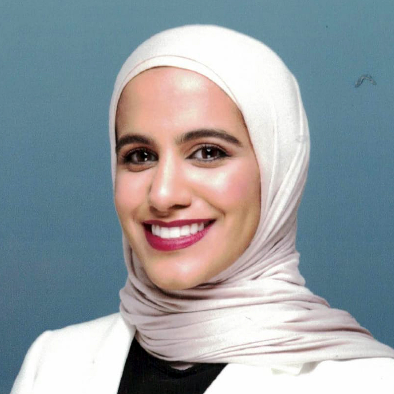 Dr. Walaa Hussain Al-Failakawi